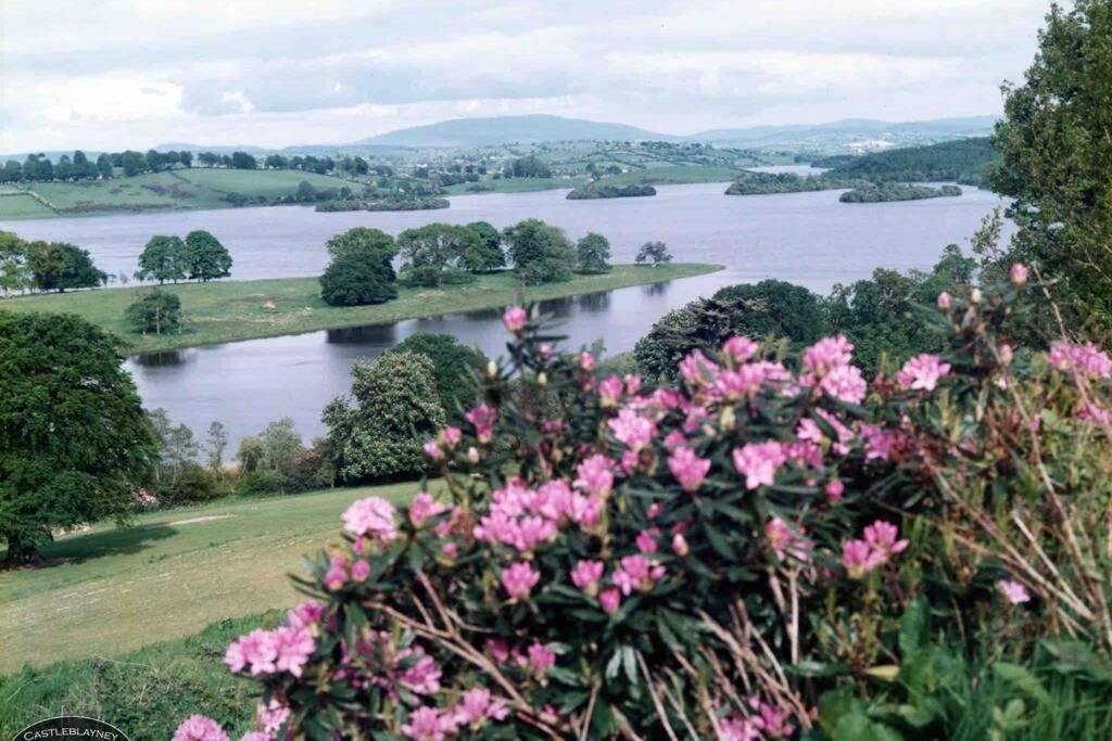 Glenmount Castleblayney别墅 外观 照片
